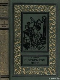 В открытом море - Капица Петр Иосифович (бесплатная библиотека электронных книг TXT) 📗