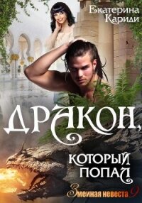 Дракон, который попал - Кариди Екатерина (книги без регистрации txt, fb2) 📗