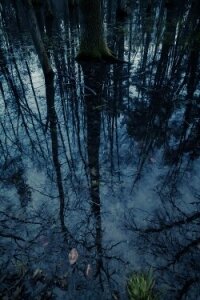 Северная Ведьма (СИ) - Иванова Анастасия (электронные книги без регистрации TXT, FB2) 📗