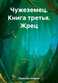 Чужеземец. Книга третья. Жрец - Первухин Андрей Евгеньевич (библиотека электронных книг .txt, .fb2) 📗