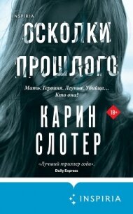 Осколки прошлого - Слотер Карин (читать книги онлайн полностью без сокращений txt, fb2) 📗