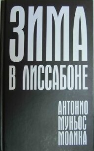 Зима в Лиссабоне - Молина Антонио Муньос (бесплатные полные книги txt, fb2) 📗