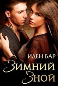 Зимний зной (СИ) - Бар Иден (версия книг .TXT, .FB2) 📗