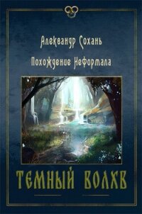 Темный Волхв (СИ) - Сохань Александр (книги бесплатно без .txt, .fb2) 📗