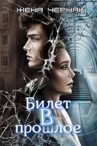 Билет в прошлое (СИ) - Черняк Женя (версия книг txt, fb2) 📗