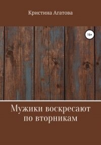 Мужики воскресают по вторникам - Кристина Агатова (серия книг .TXT, .FB2) 📗