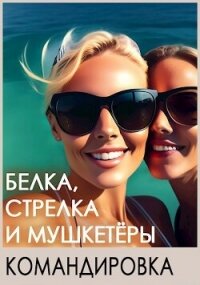 Белка, Стрелка и мушкетёры. Командировка (СИ) - Босс Игорь (читать книги онлайн без .TXT, .FB2) 📗