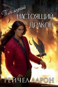 Последний настоящий дракон (ЛП) - Аарон Рэйчел (читаемые книги читать .txt, .fb2) 📗