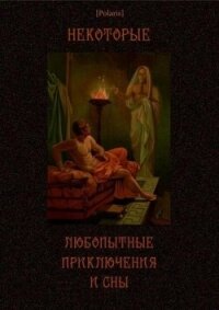 Некоторые любопытные приключения и сны - Коллектив авторов (читать полные книги онлайн бесплатно .txt, .fb2) 📗