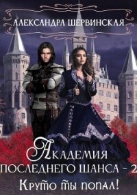 Академия Последнего Шанса – 2. Круто ты попал! - Шервинская Александра Юрьевна "Алекс" (полная версия книги TXT, FB2) 📗