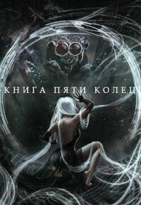 Книга пяти колец. Том 5 (СИ) - Зайцев Константин (читать бесплатно полные книги TXT, FB2) 📗