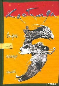 Второе кольцо силы - Кастанеда Карлос (бесплатные серии книг TXT) 📗