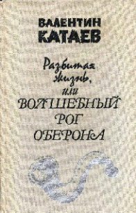 Разбитая жизнь, или Волшебный рог Оберона - Катаев Валентин Петрович (книги онлайн txt) 📗