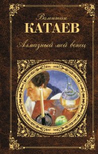 Святой колодец - Катаев Валентин Петрович (читать книги онлайн полностью без регистрации .txt) 📗