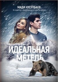 Идеальная метель - Нусупбаев Мади (лучшие книги читать онлайн бесплатно без регистрации .TXT, .FB2) 📗