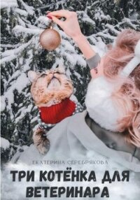 Три котёнка для ветеринара - Серебрякова Екатерина "Kate Serebryakova" (книги онлайн полные версии бесплатно .TXT, .FB2) 📗