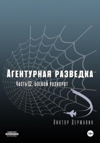 Агентурная разведка. Часть 12. Боевой разворот - Державин Виктор (читать книгу онлайн бесплатно полностью без регистрации txt, fb2) 📗