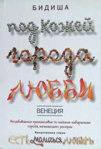 Венеция. Под кожей города любви - Бидиша (книга бесплатный формат .txt, .fb2) 📗