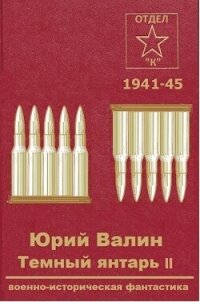 Темный янтарь 2 (СИ) - Валин Юрий Павлович (книги регистрация онлайн бесплатно .TXT, .FB2) 📗