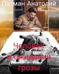 Человек в ожидании грозы (СИ) - Патман Анатолий (лучшие книги онлайн txt, fb2) 📗