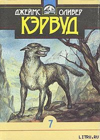 Быстрая Молния - Кервуд Джеймс Оливер (список книг .TXT) 📗