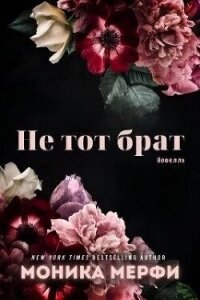 Не тот брат (ЛП) - Мерфи Моника (книги .txt, .fb2) 📗