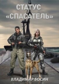 Статус "Спасатель" (СИ) - Босин Владимир Георгиевич "VladimirB" (лучшие книги читать онлайн TXT, FB2) 📗