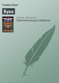 И пришел бука - Кинг Стивен (книги без регистрации полные версии .txt) 📗