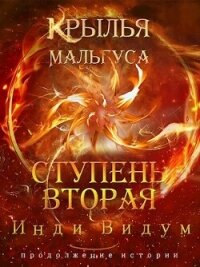 Ступень вторая (СИ) - Видум Инди (читаем книги онлайн без регистрации txt, fb2) 📗