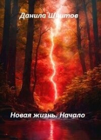 Начало (СИ) - Шнитов Данила (читать книги онлайн полностью без сокращений .TXT, .FB2) 📗