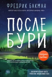 После бури - Бакман Фредрик (электронные книги без регистрации TXT, FB2) 📗