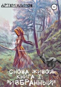 Избранный - Климов Артем (бесплатная регистрация книга TXT, FB2) 📗