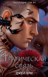 Трагическая связь (ЛП) - Бри Джей (читать книги онлайн бесплатно полные версии .TXT, .FB2) 📗