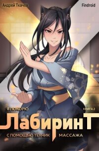 Я покорю Лабиринт с помощью техник массажа. Книга 2 - Findroid (читать книгу онлайн бесплатно полностью без регистрации .txt, .fb2) 📗