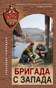 Бригада с запада - Тамоников Александр (книга регистрации TXT, FB2) 📗