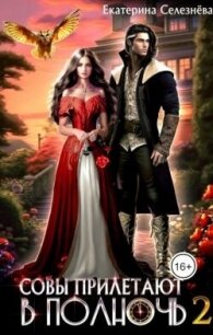 Совы прилетают в полночь 2 (СИ) - Селезнёва Екатерина (читать книги онлайн полностью .txt, .fb2) 📗