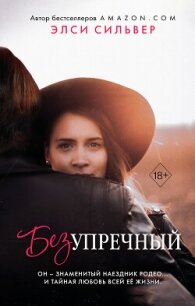 Безупречный - Сильвер Элси (книги онлайн читать бесплатно .txt, .fb2) 📗