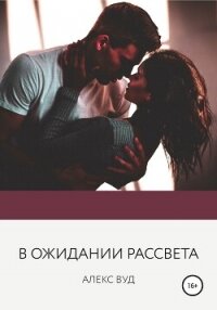 В ожидании рассвета - Вуд Алекс (лучшие книги читать онлайн бесплатно без регистрации .TXT, .FB2) 📗