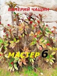 Мастер 6 (СИ) - Чащин Валерий (е книги .TXT, .FB2) 📗