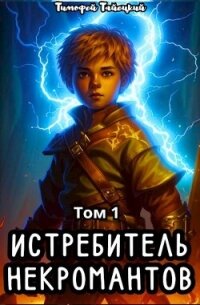 Истребитель некромантов. Том 1 (СИ) - Тайецкий Тимофей (читаем полную версию книг бесплатно .txt, .fb2) 📗