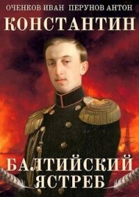 Балтийский ястреб (СИ) - Оченков Иван Валерьевич (книги полностью txt, fb2) 📗