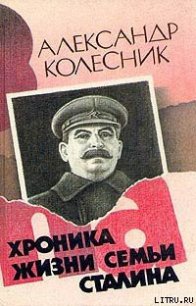 Хроника жизни семьи Сталина - Колесник Александр Николаевич (электронные книги без регистрации txt) 📗