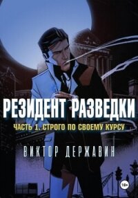 Резидент разведки. Часть 1. Строго по своему курсу - Державин Виктор (читать книги онлайн бесплатно полностью без сокращений .TXT, .FB2) 📗