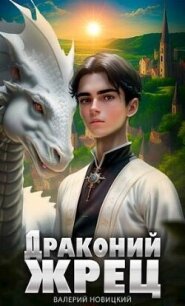 Драконий жрец (СИ) - Новицкий Валерий (читать книги бесплатно полностью без регистрации TXT, FB2) 📗