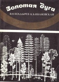 Золотая дуга - Болдырев Виктор Николаевич (серия книг txt, fb2) 📗
