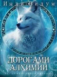 Дорогами алхимии (СИ) - Видум Инди (бесплатные полные книги .TXT, .FB2) 📗