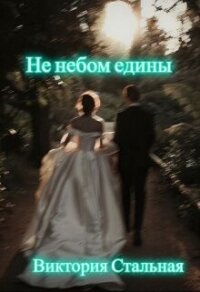 Не небом едины (СИ) - Стальная Виктория (читать книги без txt, fb2) 📗