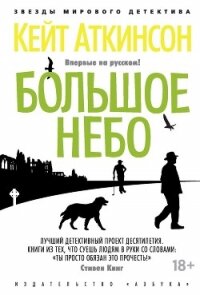 Большое небо - Аткинсон Кейт (лучшие книги читать онлайн txt, fb2) 📗