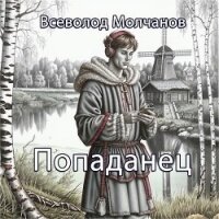 Попаданец (СИ) - Молчанов Всеволод (читать полностью книгу без регистрации txt, fb2) 📗