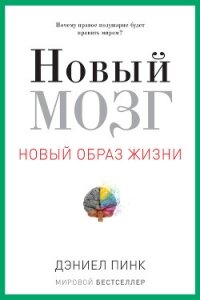 Новый мозг - Пинк Дэниел (книги онлайн полностью бесплатно TXT, FB2) 📗